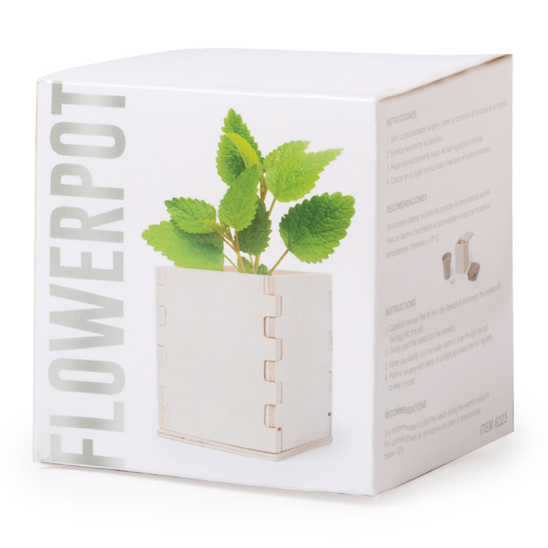 Houten bloempot met munt - Afbeelding 5